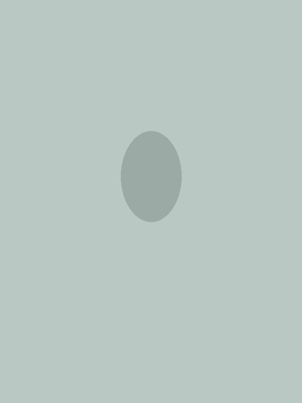 Minimalisme Moderne